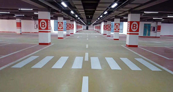 ����鿴����